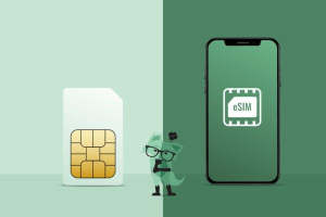 eSIM-supported phone